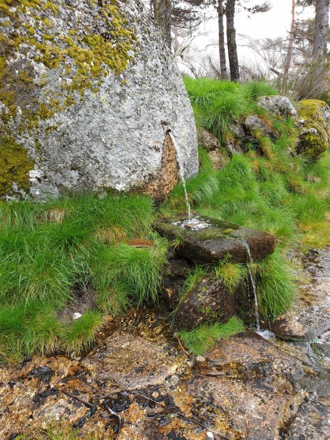 Casa Dos Cisnes - Serra Da Estrela - Sao Paio - Gouveia - Portugal Eksteriør billede